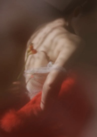 狐狸软木(校园1v1)